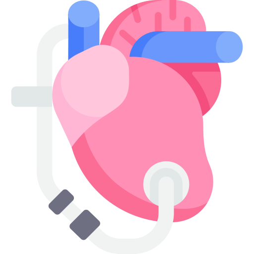 heart 7253305.png