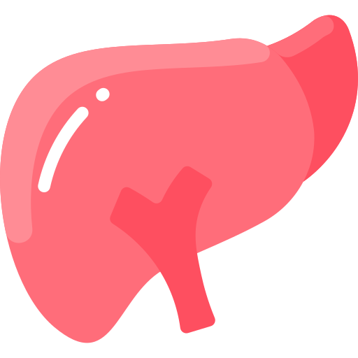 liver 3910851.png