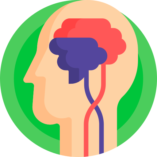 nervous system 5905665.png
