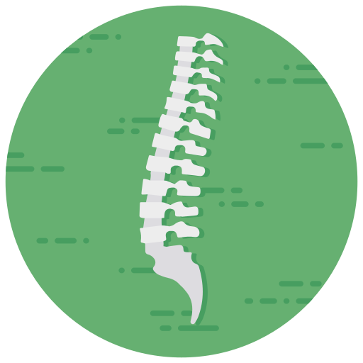 spine 2496184.png