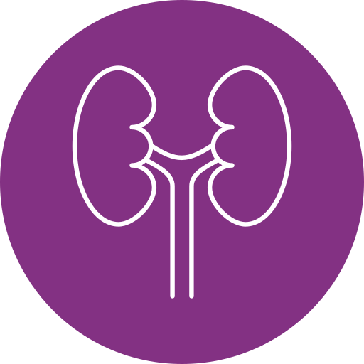 urology 13213698.png